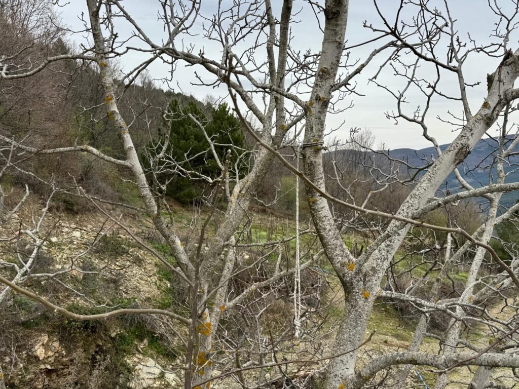 SATILIK ARSA