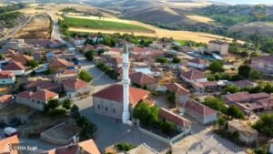 SEFERİHİSAR ORHANLI KÖYÜ SATILIK TARLA