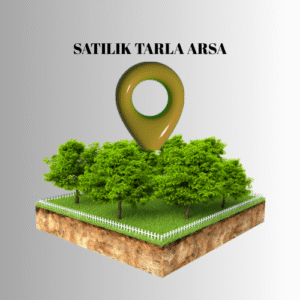 BAYINDIR DA SATILIK ÜZÜM BAĞI